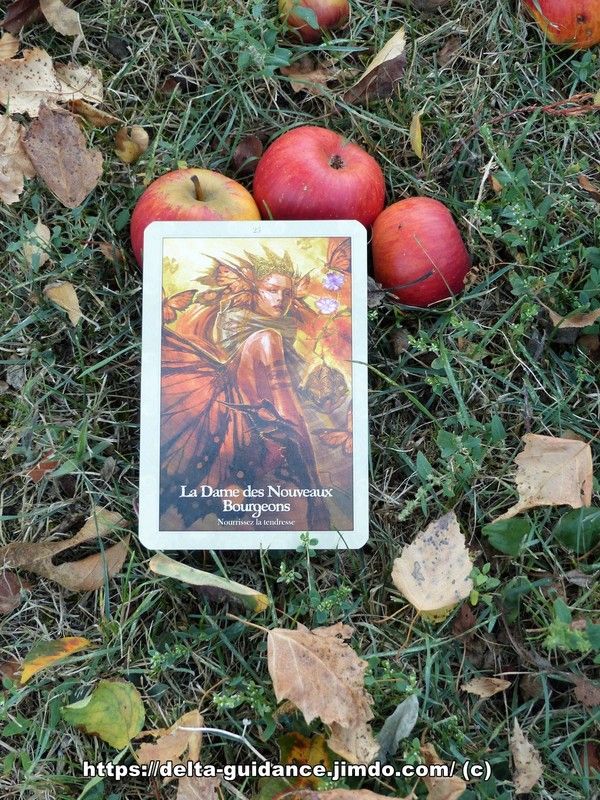  l'équinoxe d'automne : "Mabon"
